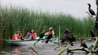 Día de los Animales: 5 lugares que debes conocer en Lima con tus hijos