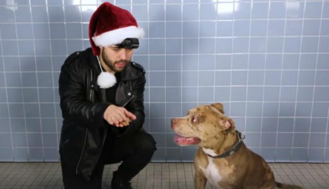 Video de Facebook obtuvo gran popularidad tras compartirse en redes sociales. (Foto: Captura)