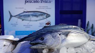 Produce incrementa en 4.666 toneladas cuota de bonito para pesca artesanal de cerco