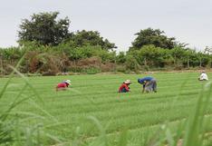 Economía peruana creció 3,44% en junio pese a bajo desempeño del sector agropecuario