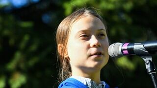 El insecto bautizado Greta Thunberg en honor a la joven activista sueca