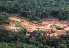 Bosques en Perú: 7 millones de hectáreas perdidas por deforestación