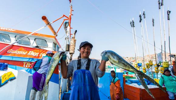 Buscan asegurar el desarrollo sostenible en la pesca del perico en Perú