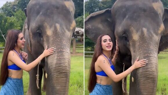 La influencer mexicana nunca pensó que el elefante reaccionaría de esa manera. | FOTO: Domelipa - Instagram