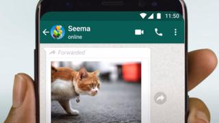 WhatsApp: edita y agrega texto a tus archivos reenviados en la versión beta de app