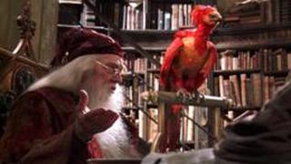 [BBC] Los mitos detrás de las bellas criaturas de Harry Potter