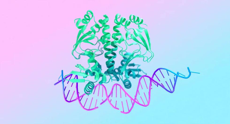 Revolutionizing Biology: AlphaFold 3 Reveals Cellular Systems in Unprecedented Detail