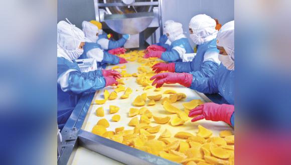 Sunshine Export, fundada por la familia Wong en Piura en 1985, es la una de las empresas líder en la exportación de mango fresco y palta congelada en el Perú. (Foto: Sunshine)