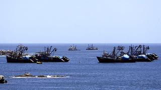 Actividad productiva del sector pesca aumentó en 100% en abril
