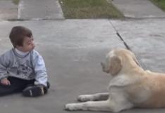YouTube: niño quería tener un amigo, perro demostró ser el ideal 