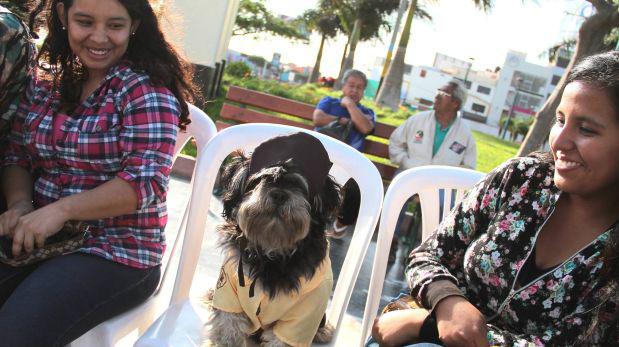 Áncash: 100 perros participaron en el "Canoween Criollo 2015" - 1