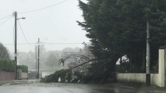 El primer ministro Leo Varadkar dijo que se esperan vientos con fuerza de huracán en todo el país. (Foto: AP)