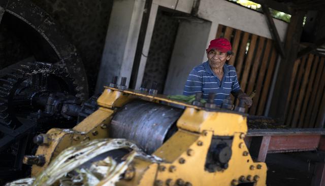 El jugo de caña, extraído con una máquina de trapiche, se fermenta por 12 horas para producir el agua ardiente. (Foto: Renzo Salazar).