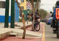 La ciclovía en La Victoria que atraviesa árboles y una rampa de concreto