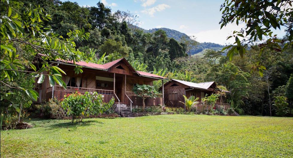 5 hospedajes perfectos para ir de vacaciones a la selva | FOTOS | Villa  Rica | Oxapampa | Pozuzo | VAMOS | EL COMERCIO PERÚ