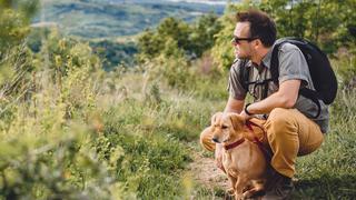 Estos son los mejores destinos de Perú para viajar con tu perro