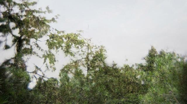 Art Lima: un vistazo a la propuesta de Solange Adum - 3