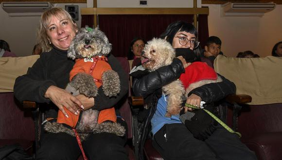 El primer cine para perros de Sudamérica abrió en Argentina: ¿qué película emitió en su inauguración? | Foto: Télam