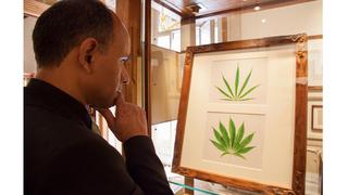 En fotos: el mayor museo de la marihuana del mundo