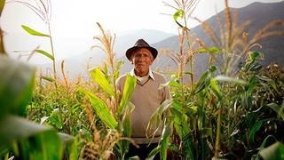 Autorizan transferencia financiera a favor del Fondo Agroperú