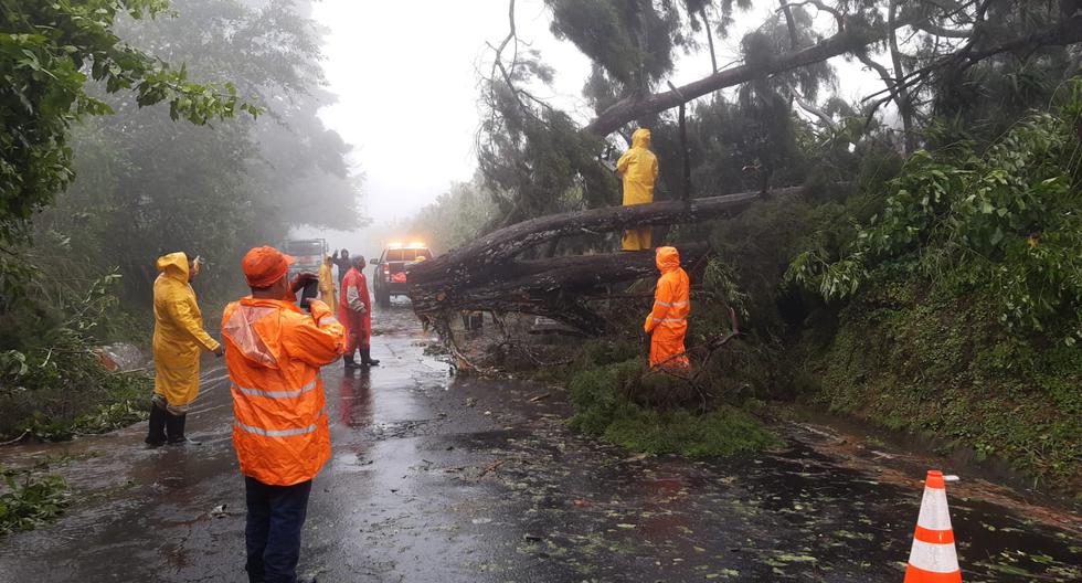 Huracán Julia en El Salvador: mueren 7 autoridades enterrados tras fuertes  lluvias provocadas por el ciclón en Comasagua, La Libertad | Nayib Bukele |  MUNDO | EL COMERCIO PERÚ