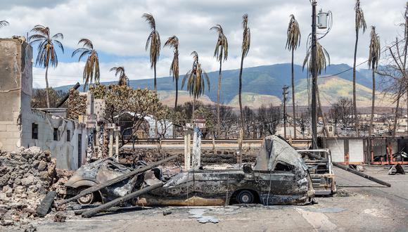 Palmeras quemadas y automóviles y edificios destruidos tras un incendio forestal en Lahaina, en el oeste de Maui, Hawái. (Foto de Moisés SLOVATIZKI / AFP)