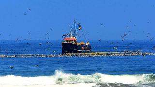 Cuota de pesca de anchoveta será de 2,8 millones de toneladas