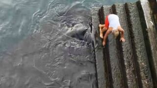 Niño se topó con una atemorizante criatura marina al estar jugando cerca al mar