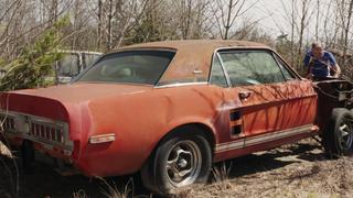 Hallan al único Shelby GT500 EXP Little Red abandonado en un bosque | FOTOS