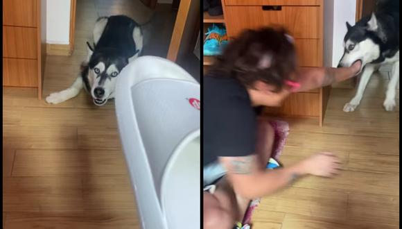 Perro se hace viral por defender a su dueño del regaño de su novia | VIDEO (Foto: Instagram/@suuhestrada).
