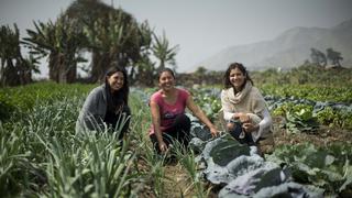 Sisay: jóvenes agricultores y cocineros reflexionan sobre seguridad alimentaria