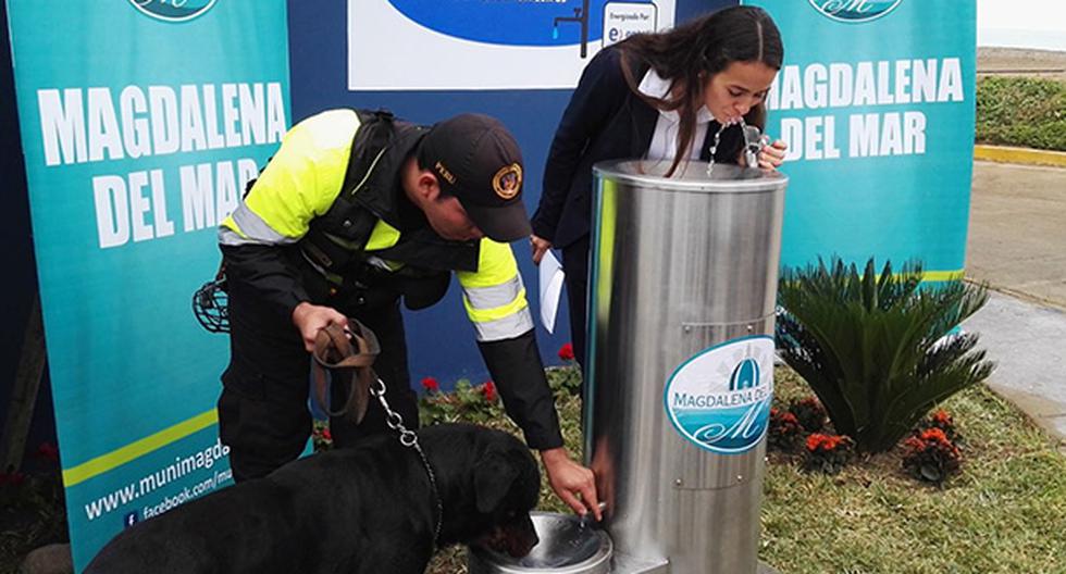 Municipalidad de Magdalena del Mar colocó bebederos ecológicos en la Costa Verde. (Andina)