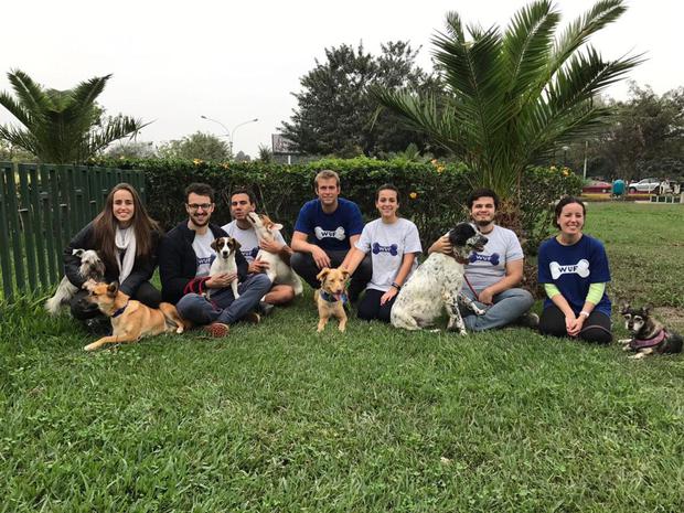 En el 2016, la ONG realizó la campaña de adopción "Conoce a tu WUF" en Miraflores, en donde los voluntarios y el equipo de WUF tuvieron la oportunidad de acercar a varios perros sin hogar a futuros adoptantes.