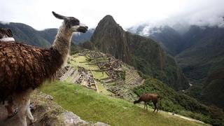 ¿Cuáles fueron los destinos preferidos por los viajeros peruanos este verano? | FOTOS