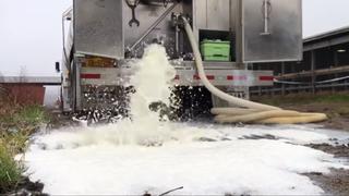 Productores botan leche en Nueva York y Wisconsin por crisis del coronavirus | VIDEOS