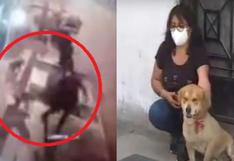 “Mis dos mascotas me defendieron”: perros se enfrentaron a delincuentes y evitan robo de celular a su dueña | VIDEO