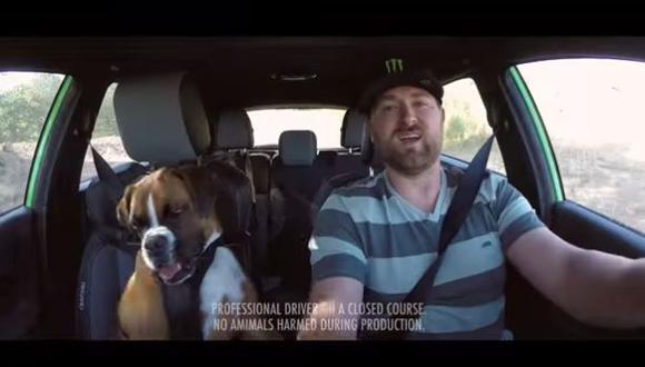 VIDEO: Piloto lleva a su perro a hacer drift