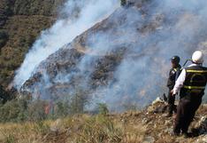 Junín: después de cuatro días sofocan incendio forestal enHualhuas | FOTOS