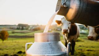 Día Mundial de la Leche: cuál es su origen y por qué se celebra este jueves 1 de junio