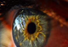 Científicos crean estimulador que revierte pérdida de visión por retinosis
