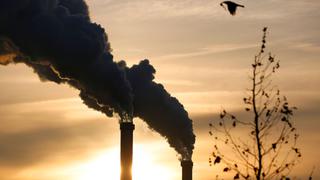 Cambio climático:"Los que contaminan deben pagar para mitigarlo"