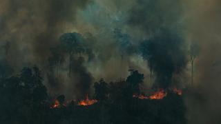 Greenpeace publica dramáticas imágenes de incendios en la Amazonía | FOTOS