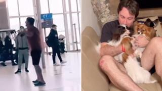 Final feliz: encontraron perros del hombre que rompió en llanto en aeropuerto