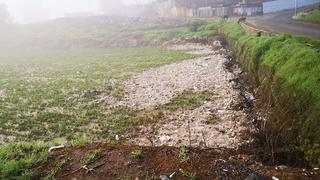 Arequipa: intensas lluvias dañan cultivos de ajo y papa