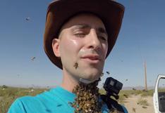 YouTube: colocó 3000 abejas en su rostro y quedó de esta forma