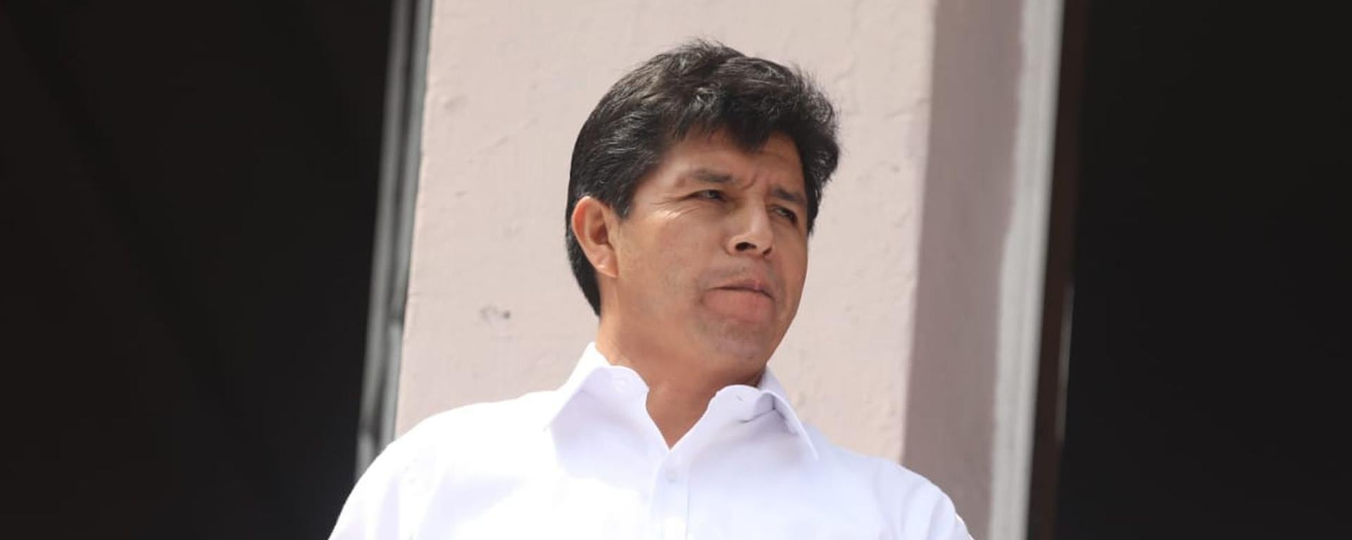 Pedro Castillo: los cuestionamientos y desmentidos de los argumentos del presidente sobre la denuncia de plagio