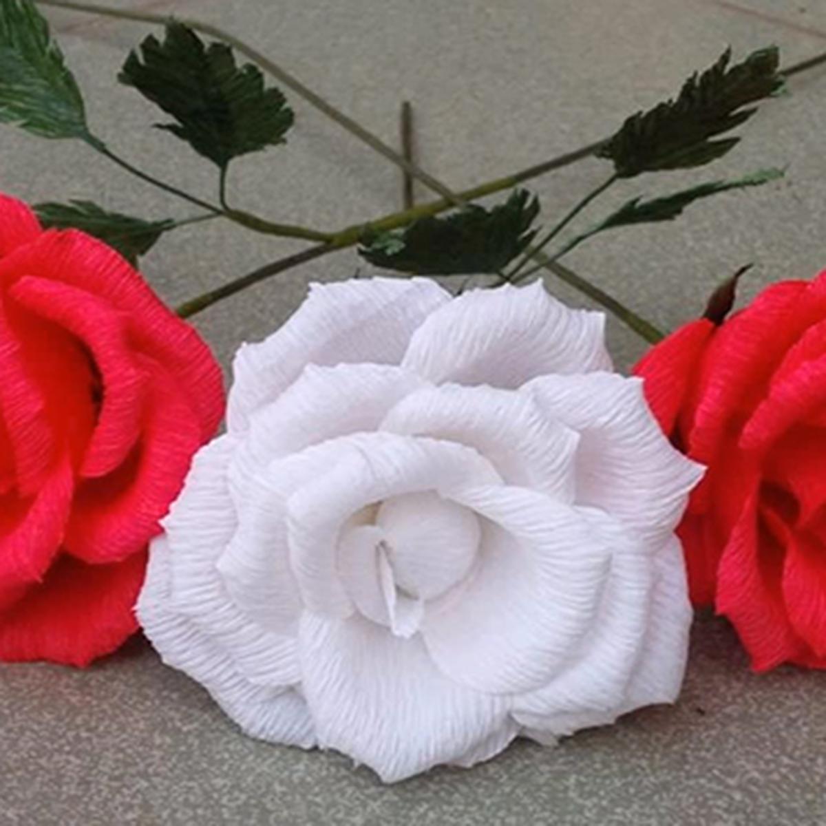 Arriba 91 Foto Como Hacer Rosas De Papel Crepe Paso A Paso Lleno 1623