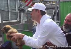 Indignación en Francia por ‘rescate’ de perro de un mendigo | VIDEO 