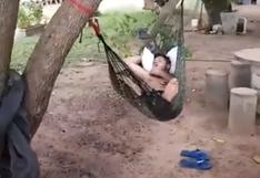 YouTube: dormía cómodo en una hamaca y después vivió la peor broma