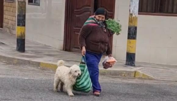 Un perro fue captado ayudando a cargar la bolsa de su dueña y el video se hizo viral en TikTok. (Foto: TikTok/carolinaatoche27).